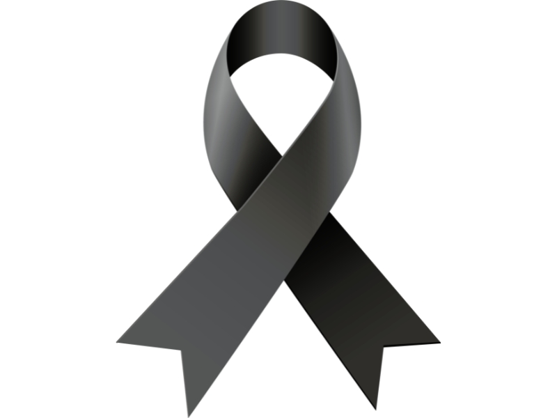 newsfeed-image